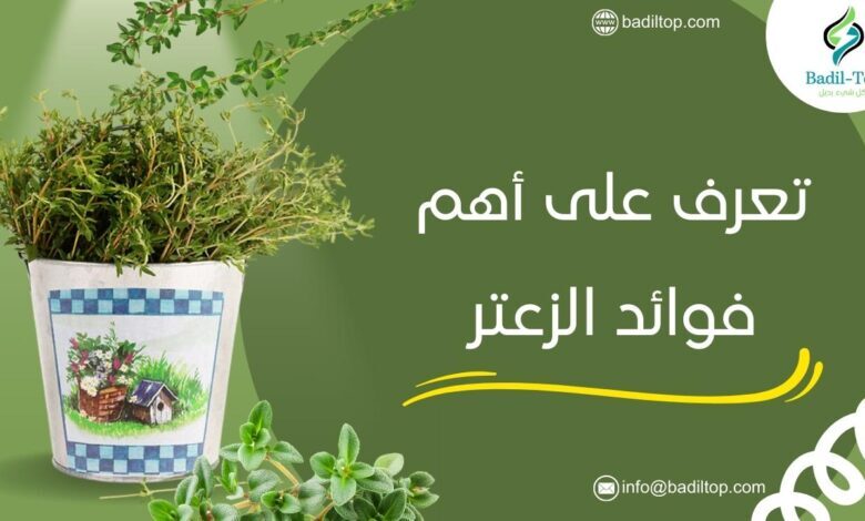 ما هي فوائد الزعتر البري للسعال