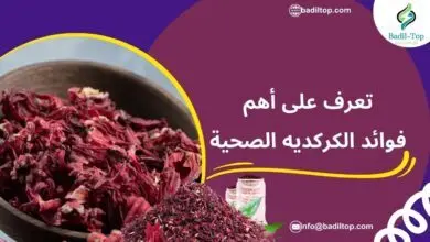 تعرف على أهم فوائد الكركديه الصحية وآثاره الجانبية ما هي فوائد الكركديه