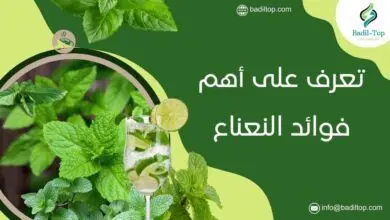 أشهر فوائد النعناع الأخضر الصحية: لا تدع يومك يخلو منه ما هي فوائد النعناع المغلي