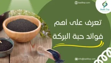 فوائد حبة البركة الصحية وطرق تناولها الفعالة فوائد حبة البركة للتخسيس