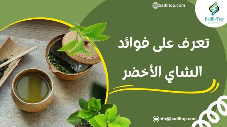 فوائد الشاي الأخضر تعرف على أهم 12 فوائد مذهلة بديل توب