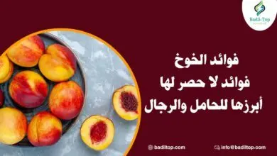 فوائد الخوخ للحامل