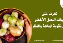 فوائد البصل الأخضر