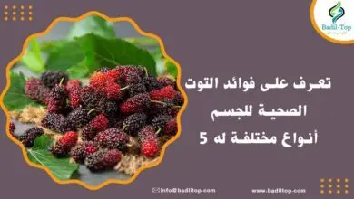 فوائد التوت للحامل