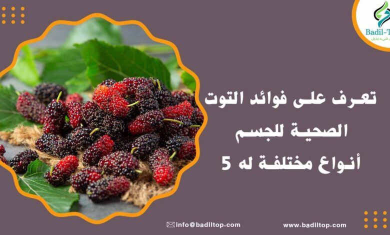 فوائد التوت للحامل