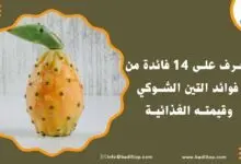 فوائد التين الشوكي للحامل