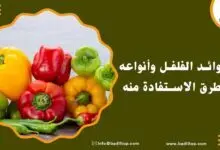 فوائد الفلفل للحامل