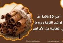 فوائد القرفة للنساء