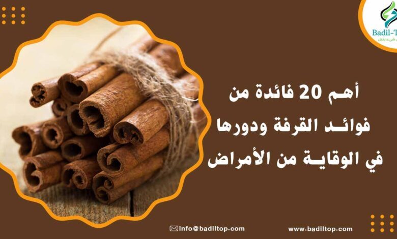 فوائد القرفة للنساء