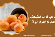 فوائد المشمش للجسم