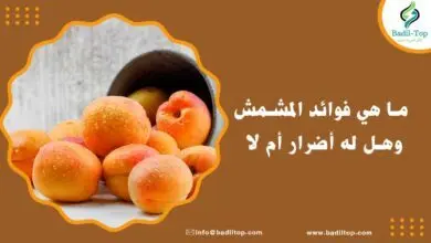 فوائد المشمش للجسم