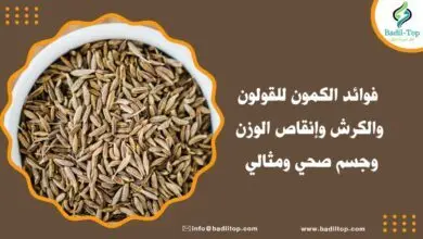 فوائد الكمون للقولون