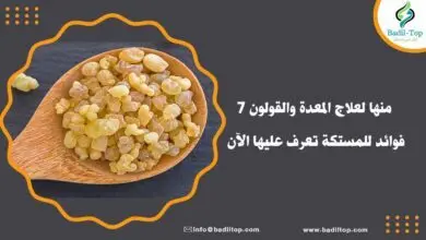 فوائد المستكة
