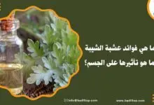 فوائد عشبة الشيبة