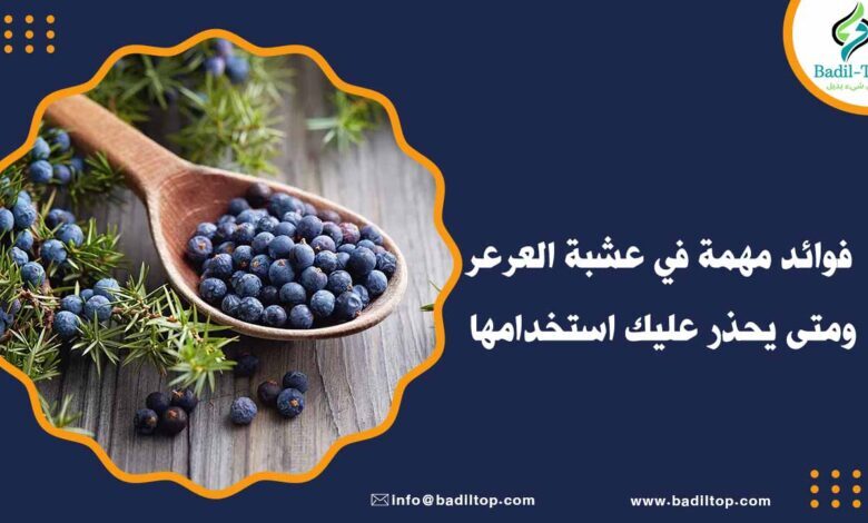 فوائد عشبة العرعر