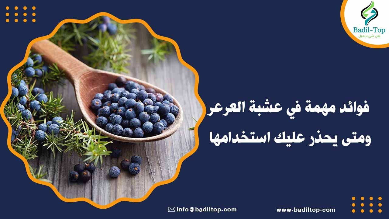 فوائد عشبة العرعر