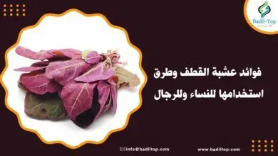 فوائد عشبة القطف للرحم