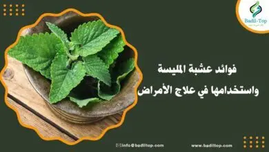 فوائد عشبة المليسة للنساء